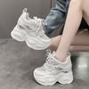 Fashion Women Chunky Sneakers 2024 Spring Breathable Mesh Casual Shoes 9CM Wedge Heels Platform Shoes Chaussures Femme Sports Dad Shoes