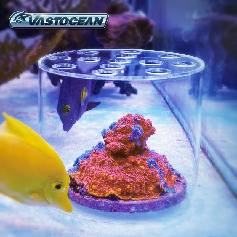 VASTOCEAN Acrylic Coral Feeding and Breeding Protection Disc for Firecracker Brain Coral, Anti-Stealing Food Cover