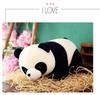 28CM Chinese Panda Plush Toy National Treasure Class Animal Wow I Cute Black And White Bear Send Children's Birthday Gift -4