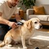 Household Coat Grooming Set for Dog, 3 Piece Nail Trimmer, Metal Finishing Comb and Detangling Comb for Weekly Brushing and Coat Smoothing