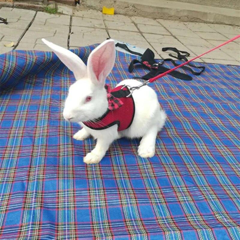 Cute Harness Leash Set with Bow Bunny Vest Harnesses Leashes for Chinchilla Hamster Golden Bear Outdoor Walking Pets Accessories