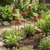 Long Stakes Metal Daisy Stake Rusted Iron Rustic Garden Art Curved Petal Stake  Garden Yard