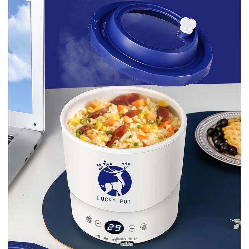 Yoshida Craftsman Smart Electric Multi-Cooker