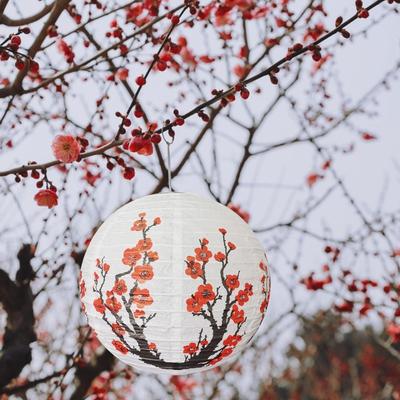 3Pcs Paper Material Cherry Blossom Lantern Plum Blossom Design Cherry Blossom Themed Paper Lanterns Set Decoration