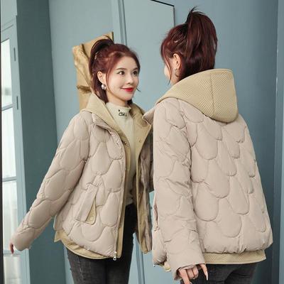 Manteau d'hiver à capuche pour femmes 2025 - Style coréen épais et chaud, doudoune