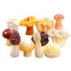 10pcs Mini Ornaments DIY Resin Mushroom Ornaments Cute Simulation Mushroom Black Fungus 11 Styles