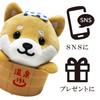 Traveling Mameshiba Mascot Cushion - Cute, Soft, and Fluffy Dog - Shiba Inu, Mameshiba, Soothing (Hot Spring Bucket Version)