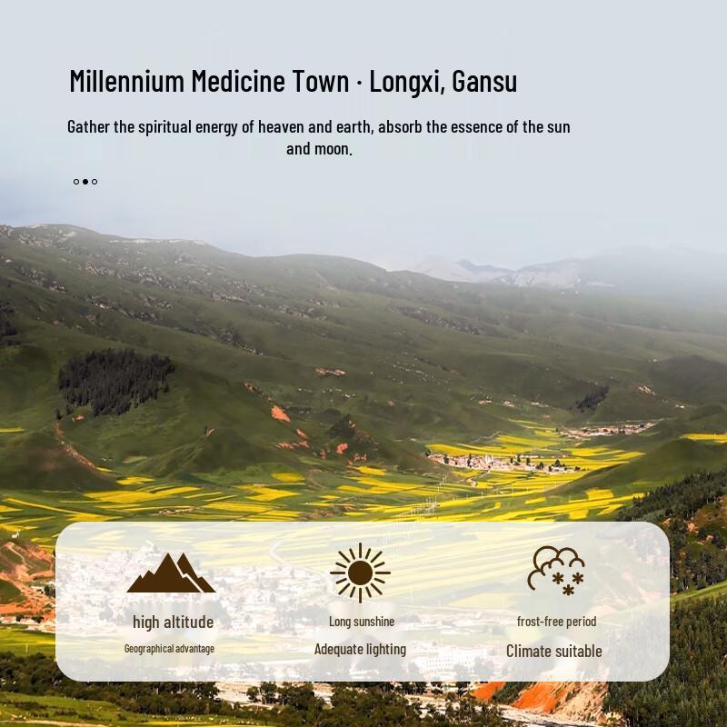 Tong Ren Tang Astragalus Root Slices for Wellness