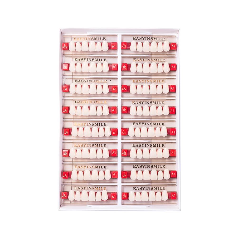 16/12 Sätze/Karton Zahnprothese Zähne Oberkiefer Frontzähne Unterkiefer Seitenzähne Dentier Synthetisches Polymerzähne Zahnmedizinische Ausbildungsmodell