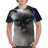 Cat Cute Pattern Men Summer Sportwear T-shirts O Neck Short Sleeve 3d Printed T Shirt Casual Breathable Tops