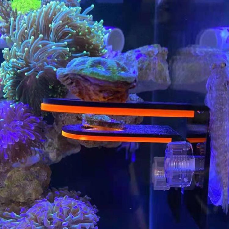 Acrylic Coral Frag Rack for Aquarium Strong Suction Cup Holds Up To 1 or 3 Plugs