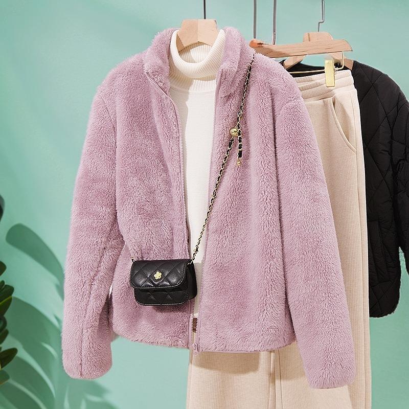 Autumn and winter coral fleece jacket women's fashion casual zipper sweater fleece loose stand-up collar age-reducing wear top tide