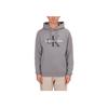 Letter Print Hooded Long Sleeve Sweatshirt Men Sweatshirt Gray J30J320934-P2D