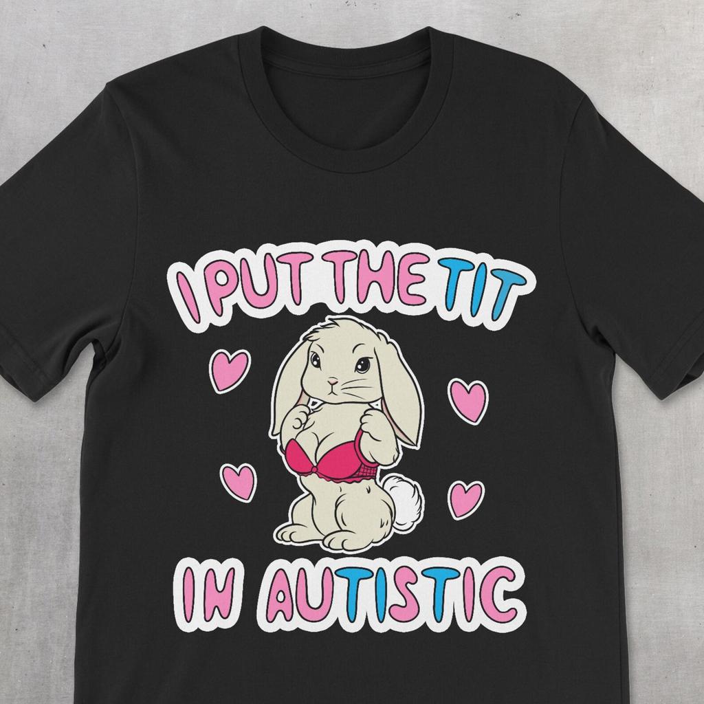 Funny Autism Shirt, Offensive Dark Humor Tee, Autistic Shirt, Gen Z Meme Tee, I Put The Tit In Autistic