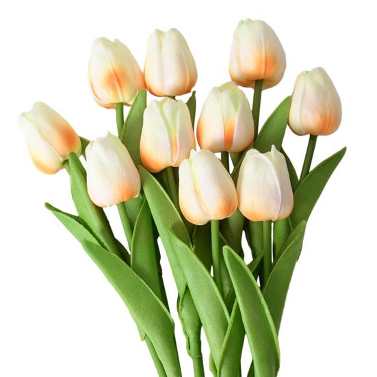 מפעלי סימולציה ייצוגיים מרהיבים 16 צבעים רב תכליתיים