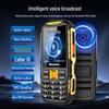 Newman N66 4G Feature Phone for Seniors (CN version)