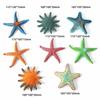 8Pcs Plastic Ocean Animal Model Multicolor Simulated Design Simulation Starfish Model Realistic Appearance Animal Figures