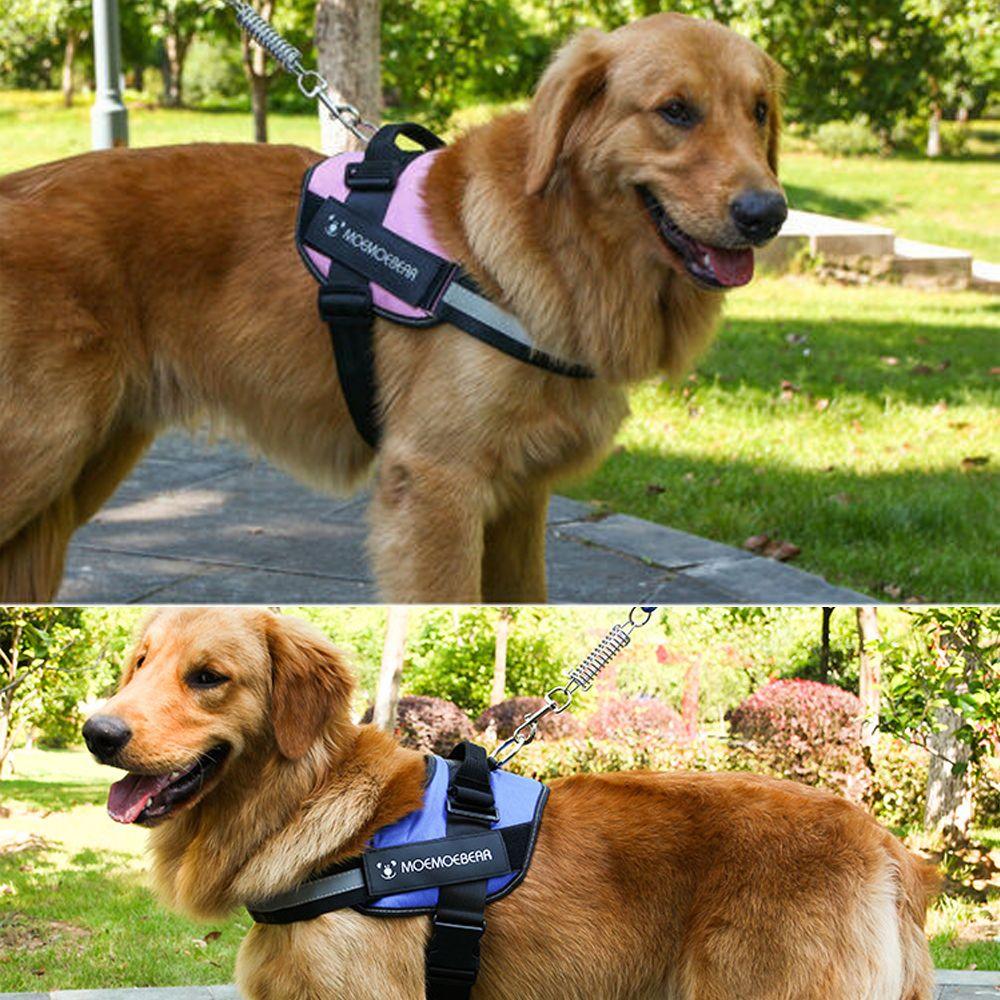 moemoe bear dog harness