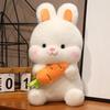 Cute Radish Rabbit Pillow Girl Sleeping Doll Doll Plush Toy Birthday Gift Children