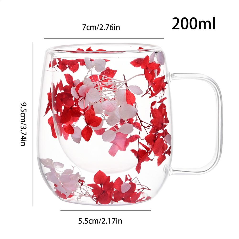 Double Wall Glass Cup 200ml Clear Dried Flowers Milk Tea Coffee Mug with Handle Gifts Friends Home Water Cup Drinking Glasses