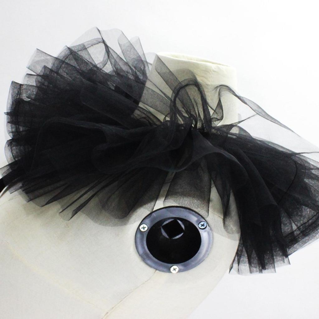 Girls Ladies Victorian Renaissance Detachable Ruffled Lace Jabot Neck Collar Stage Party Steampunk Costume Accessory