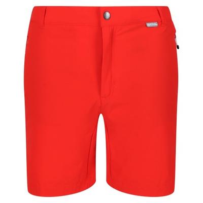 Mens Mountain II Shorts