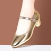 3.5cm 5.5cm Breathable Comfortable Shallow Soft Leather Shoes Mary Janes 2025 Spring Med Block Heels Shoes for Dance Office Mom