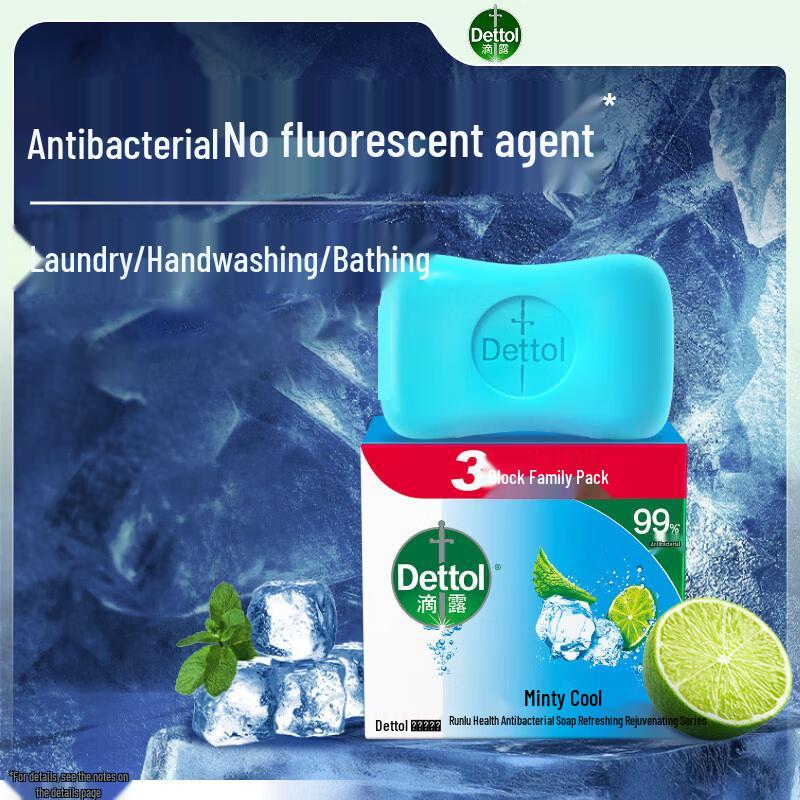 Dettol Mint Antiseptic Bar Soap 6-Pack