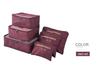 6-Piece Travel Toiletry & Clothing Storage Set with Document Bag