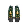 New Nike Pegasus 40 Green Bay Packers DZ5964-001