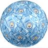 Ballon de football thème Manchester City Taille 5 Ballon de football Toucher Doux Ballon de football d'entraînement professionnel pour sports d'extérieur