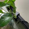 Aquarium Plant Holder with 5 Hole Heavy Duty Aquatic Plant Cup Fish Tank Top Hanging Floating Root Plants Planter Shelf Aquascape Decoration