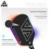 Peak Carbon Fiber Pickleball Paddle