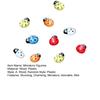 10 Pcs Miniature Ladybug Figurines Tiny Ladybug Animals Statue for Fairy Garden Micro Landscape Decor Cake Topper