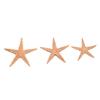 Natural Starfish Craft Starfish Fish Tank Decoration Jewelry Making