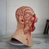 Realistic Horror Infected Zombie Masks Unisex House Helma Rekvizita Vysoce kvalitní Rekvizita Haunted House