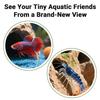 Shrimp Tunnel Resin Animal Habitat For Breeding Shrimp Cave Tunnel Accessories For Tank Breeding Hiding Stuff Water Indoor