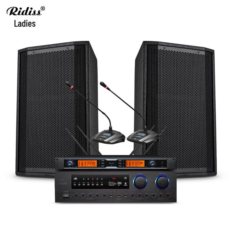 Ridiss AC208 Conference Room Audio System