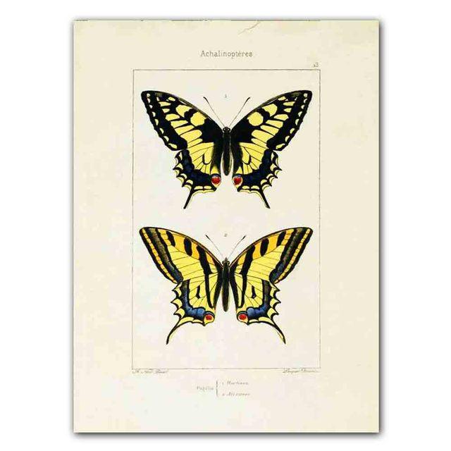 Nordic RETRO Art Canvas Painting Butterfly Insect Evolution Poster Living Room Corridor Wall Painting Home Decoration Mural No Frame