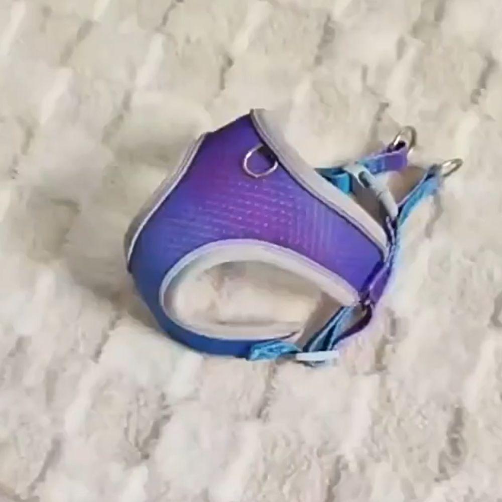 With Reflective Strap Dog Chest Back Dog Leash Gradient Color Dog Walking Leash  Puppy