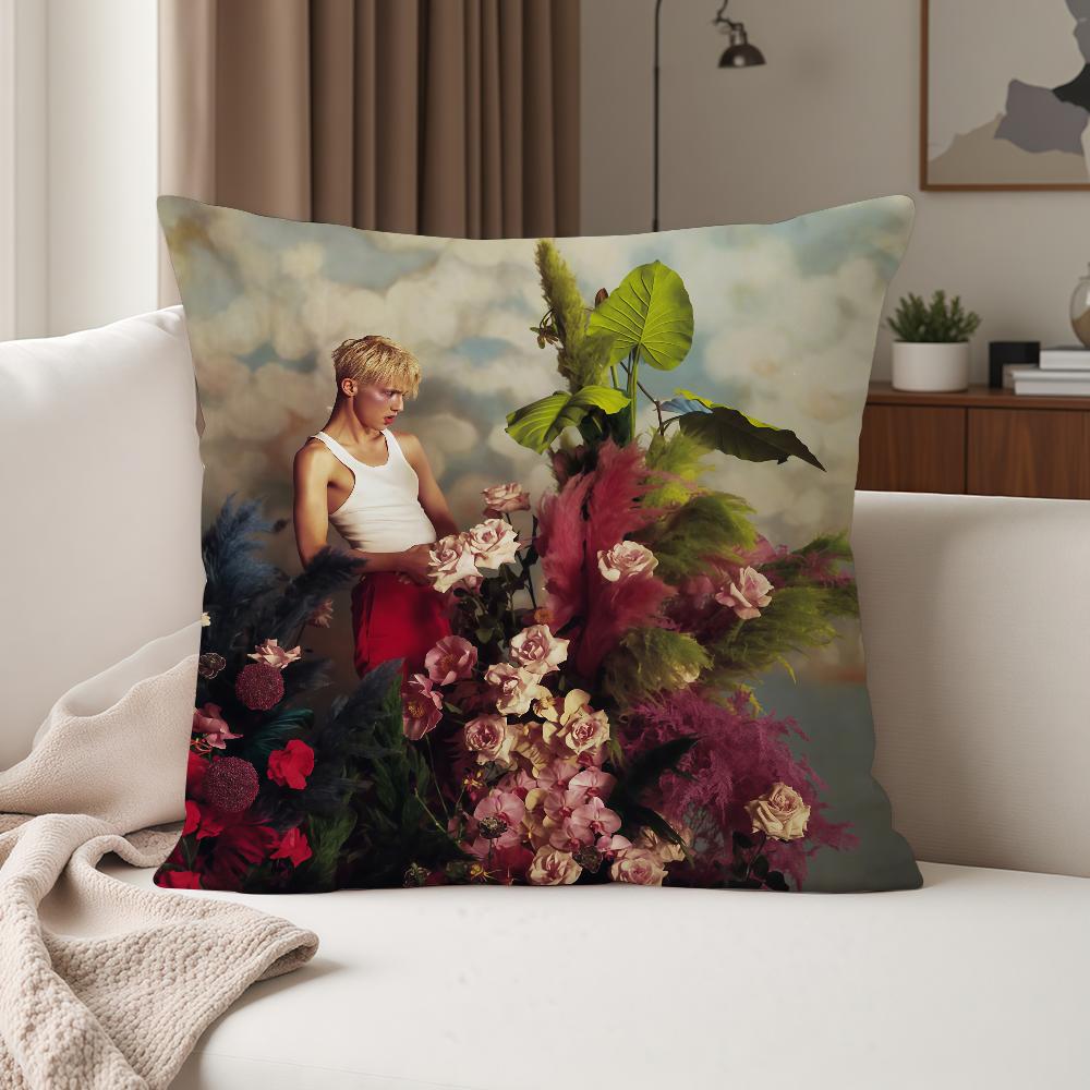 Singer Troye Sivan Blue Neighbourhood Pillow Case Suitable For Bedrooms Living Rooms Cars Home Decoration