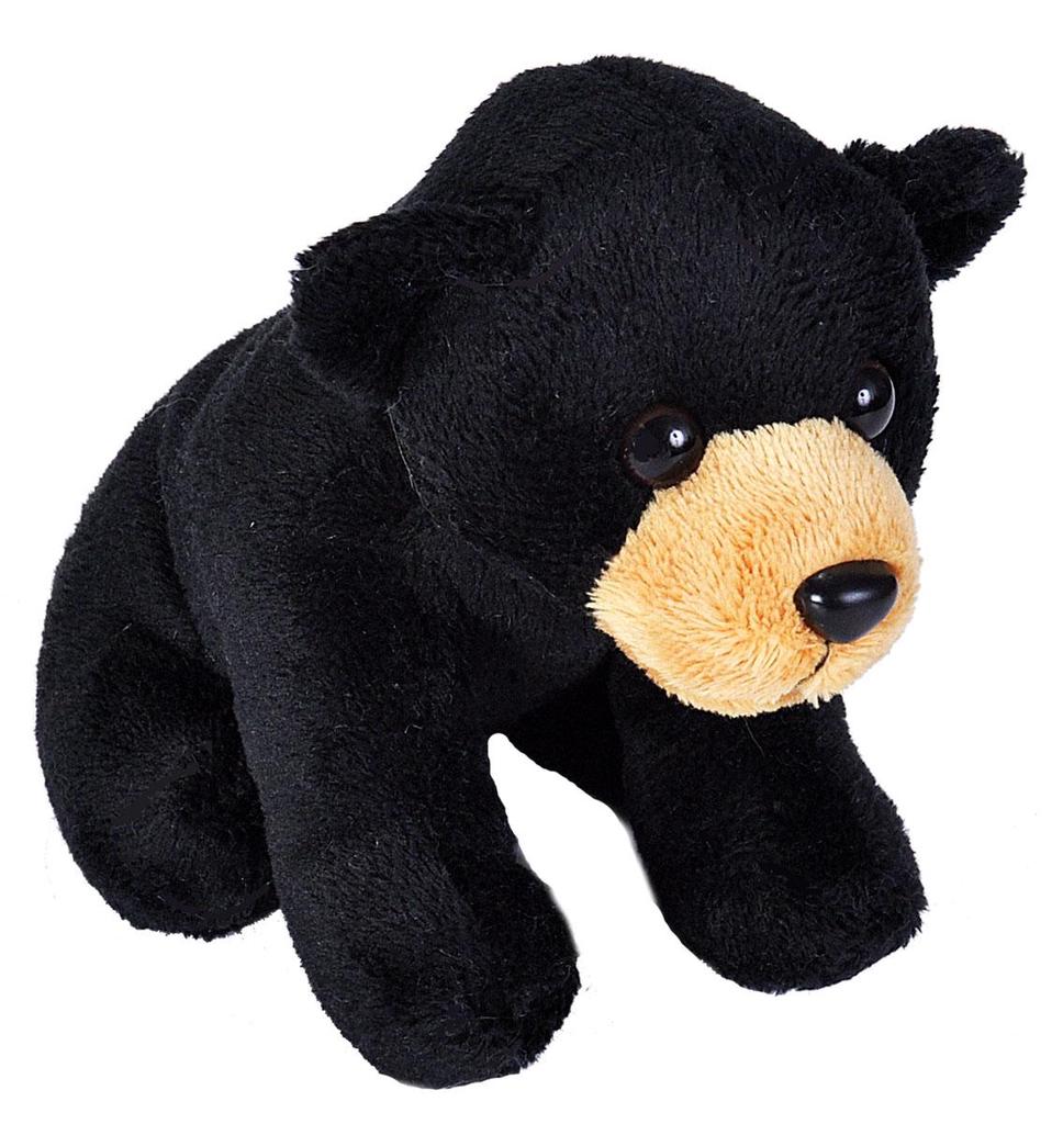 plush black bear