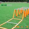 Football Training Agility Ladder