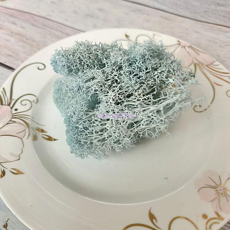 Blue Series Dried Flower DIY Kit: Hydrangea, Thousand-Layer Gold, Eucalyptus Leaf Souvenir Decoration