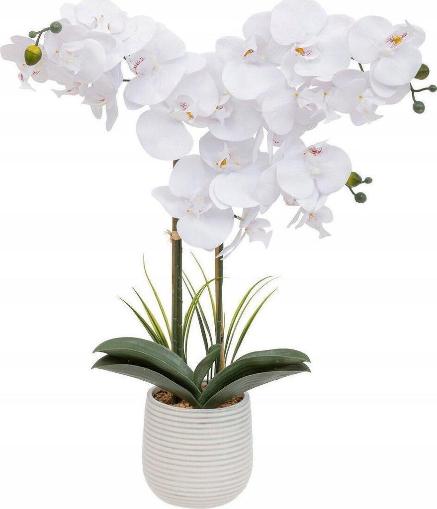 Atmosphera Riva dried plant White