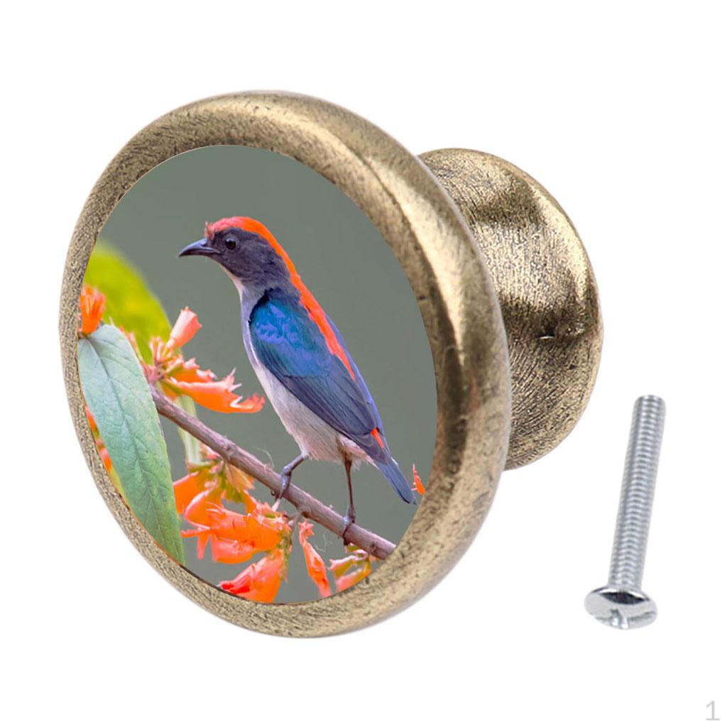 

Brass Cabinet Drawer Round Pulls Cupboard Furniture Knob Handle DIY Style-01