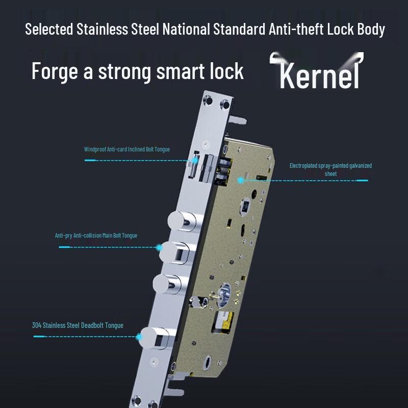Kaadas HK300PRO Smart Visual Fingerprint Lock