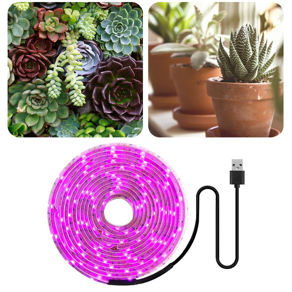 LED Grow Light Waterproof Indoor Veg Plant Growing Lamp Plant Grow LED Light for Plants Flowers Greenhouse Hydroponic 1M 2M 2M 5M