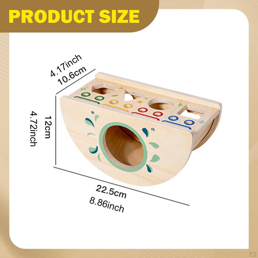 Animal Shape Sorter Fine Motor Skills Color Sorting Toy Wooden Activity Center for Classroom