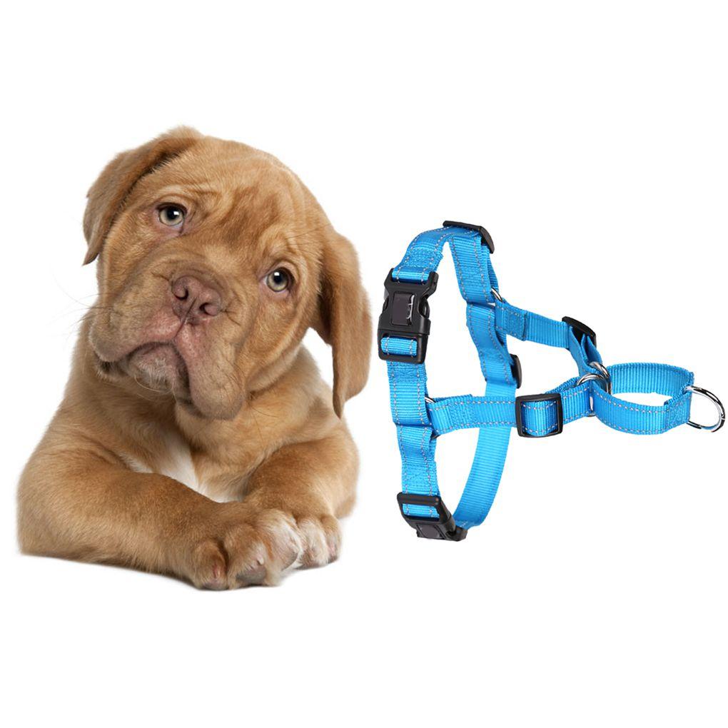 

Dog Collar Harness Pet Puppy Soft Vest Reflective Patches for Labrador Poodle